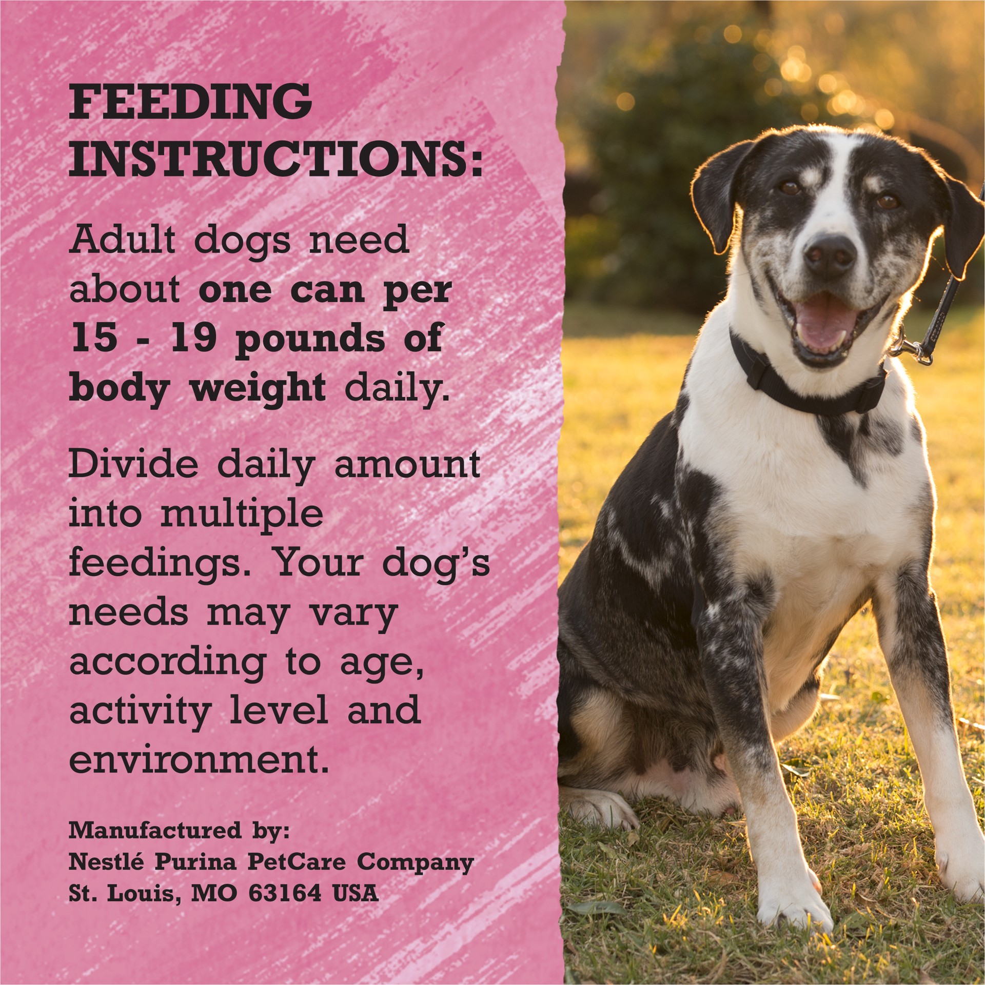 slide 4 of 8, Beyond Purina Beyond High Protein, Grain Free, Natural Pate Wet Dog Food, WILD Beef, Liver & Lamb Recipe, 13 oz